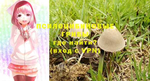 шишки Алексеевка
