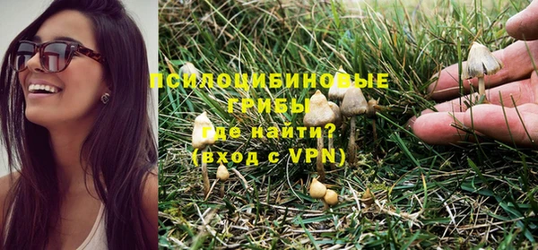 дживик Алексин