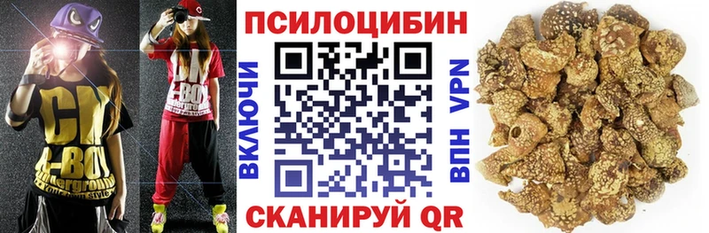 Галлюциногенные грибы Psilocybe  Черногорск 