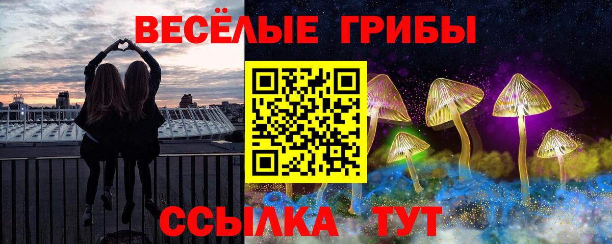 Галлюциногенные грибы Cubensis Черногорск