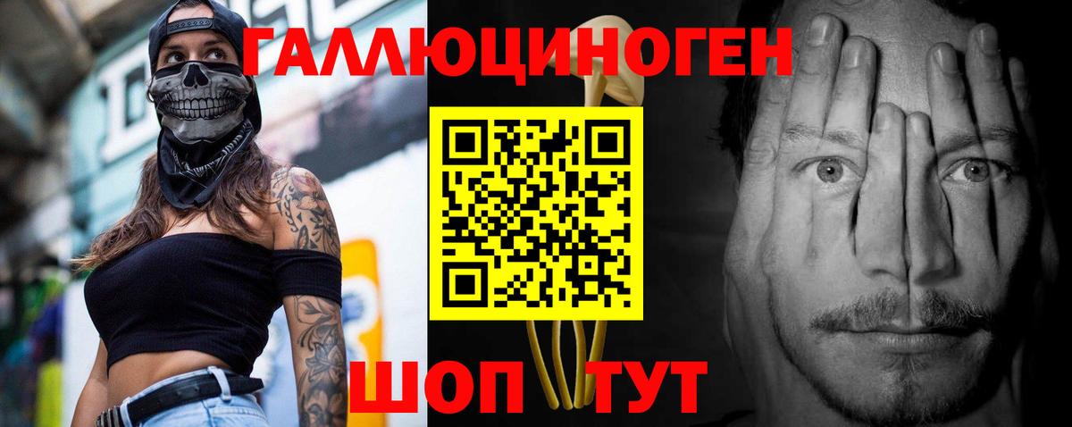 Псилоцибиновые грибы ЛСД  Псилоцибиновые грибы Cubensis  Вход с VPN  Черногорск 